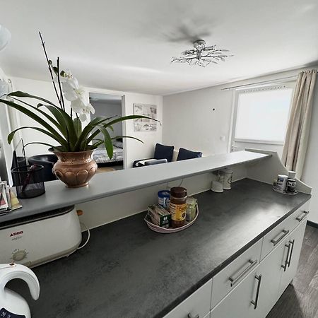 Appartement Detox Au Pied Du Semnoz Сейно Экстерьер фото