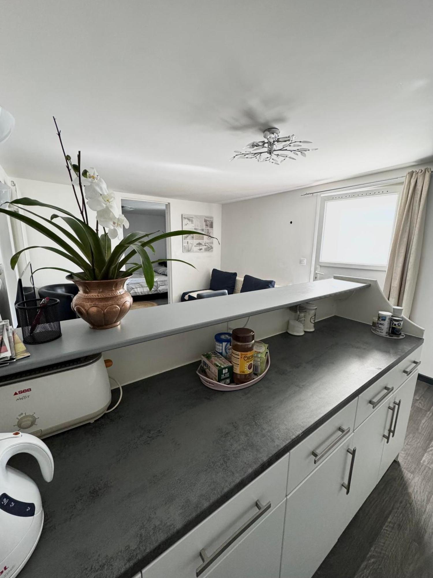 Appartement Detox Au Pied Du Semnoz Сейно Экстерьер фото